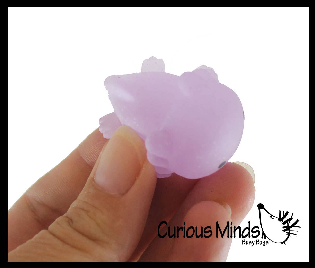 Curious Minds Toys - Wholesale Squishy Toy - Kids & Baby - 1 Axolotl Mochi Squishy Animals - Kawaii - Cute Jelly OT6