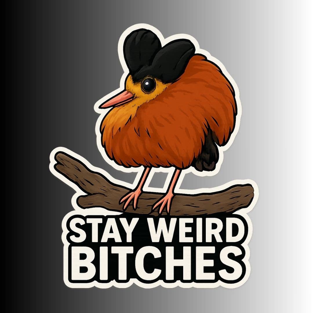 Slightly Askew Art - Wholesale Sticker - "Stay Weird Bitches" Sticker Variety Pack - 10 Designs1