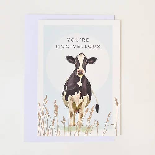 Moo-velloso para venta al por mayor de Visual Happiness
