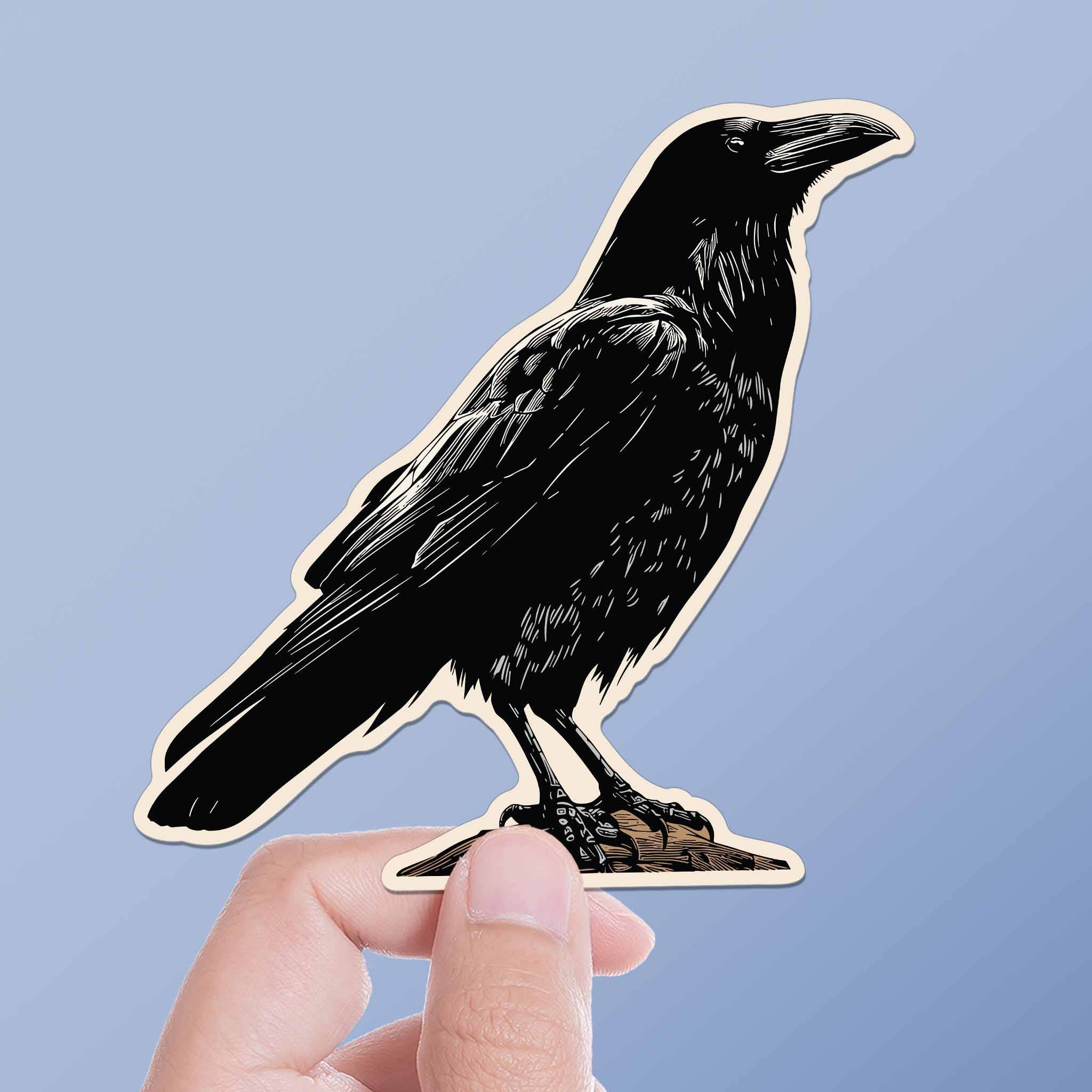 Sentinel Supply - Wholesale Sticker - Crow Birdwatching Sticker