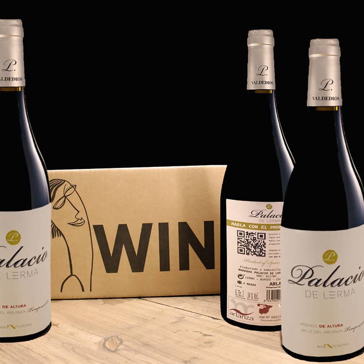 Bodega Palacio de Lerma - Wholesale Champagne/Sparkling Wine - Lerma Palace Oak2