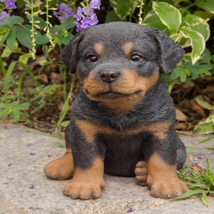 Hi-Line Gift Ltd. - Vente Bibelots/décorations d'extérieur - Chiot Rottweiler