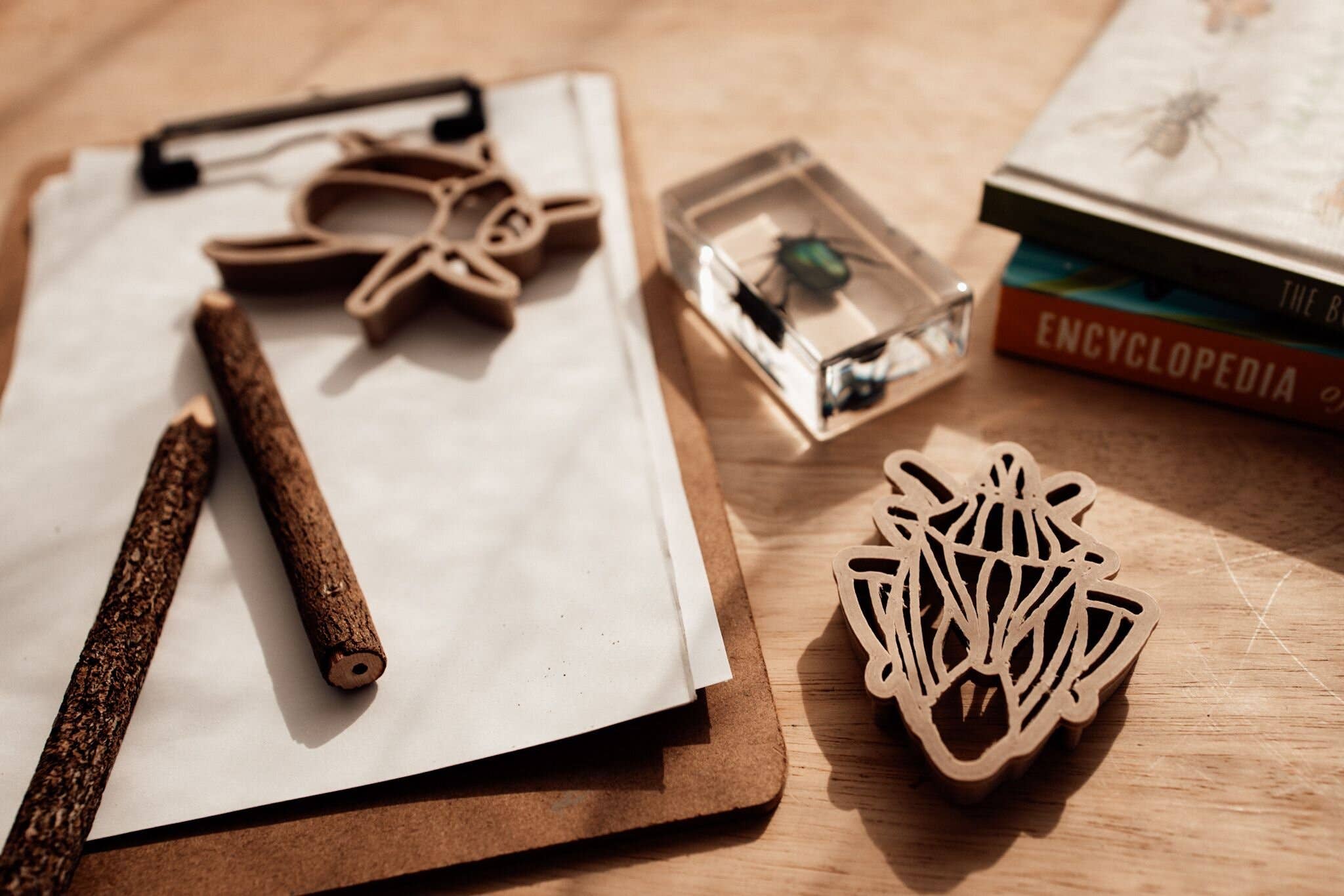 Kinfolk Pantry – wholesale Toy set – Kids – Bug Cutter Set – Eco Playdough Tool2