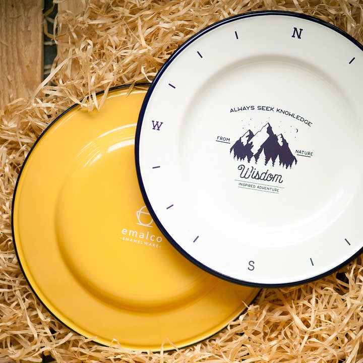 Emalco Enamelware - Wholesale Dinner Plate - 9.5'' Dinner Plate | WISDOM3