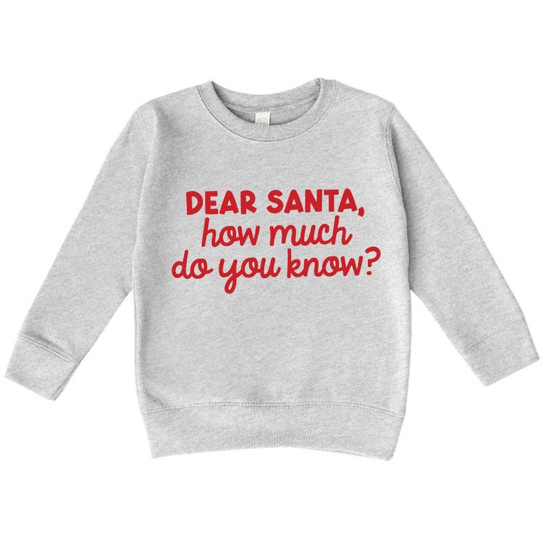 Bump & Beyond Designs - Wholesale Shirt - Kids - Funny Dear Santa Christmas Sweatshirt for Kids1