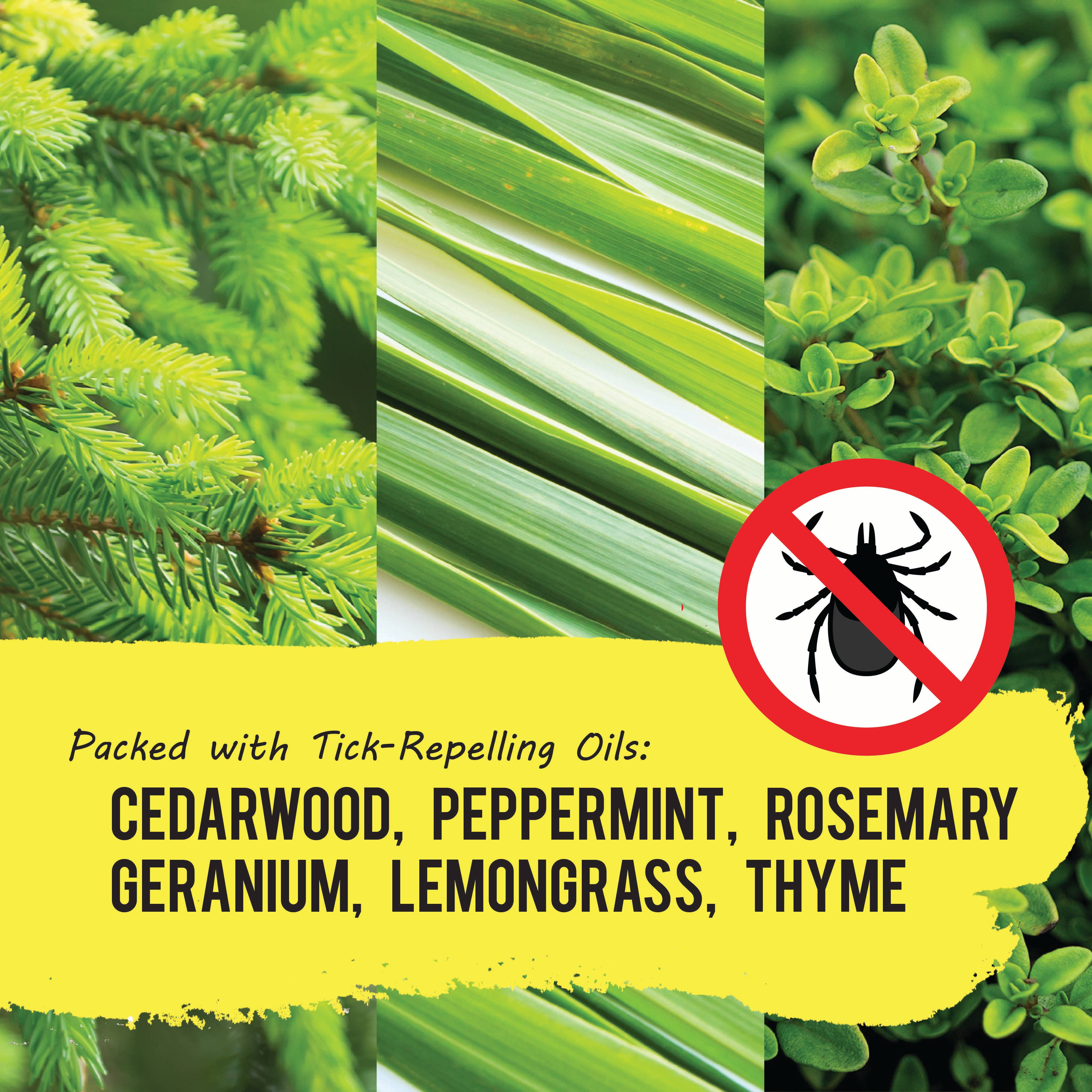 YAYA Organics - Wholesale Insect Repellent - Tick Ban All-Natural Tick Repellent - 16 oz.9