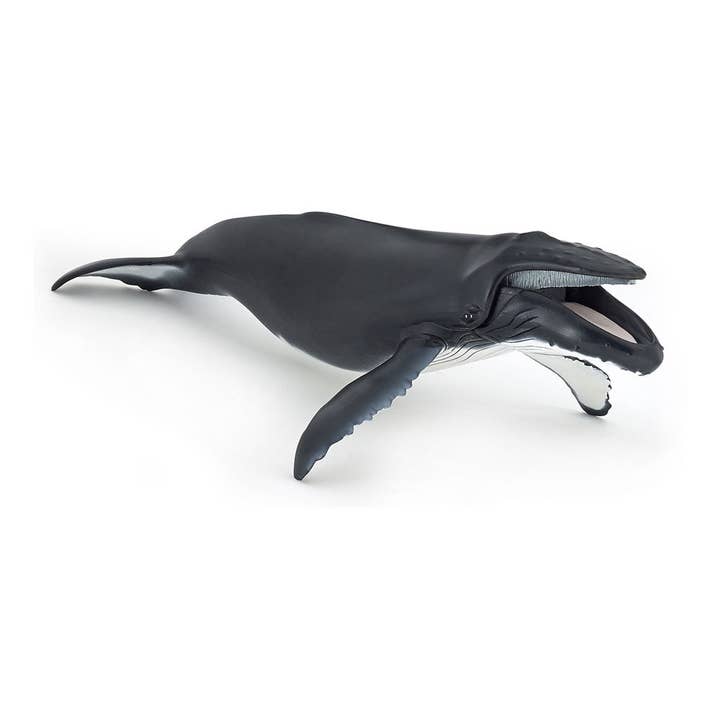 PAPO Marine Life Humpback Whale Toy Figure (56001) for wholesale by Meroncourt Europe Ltd