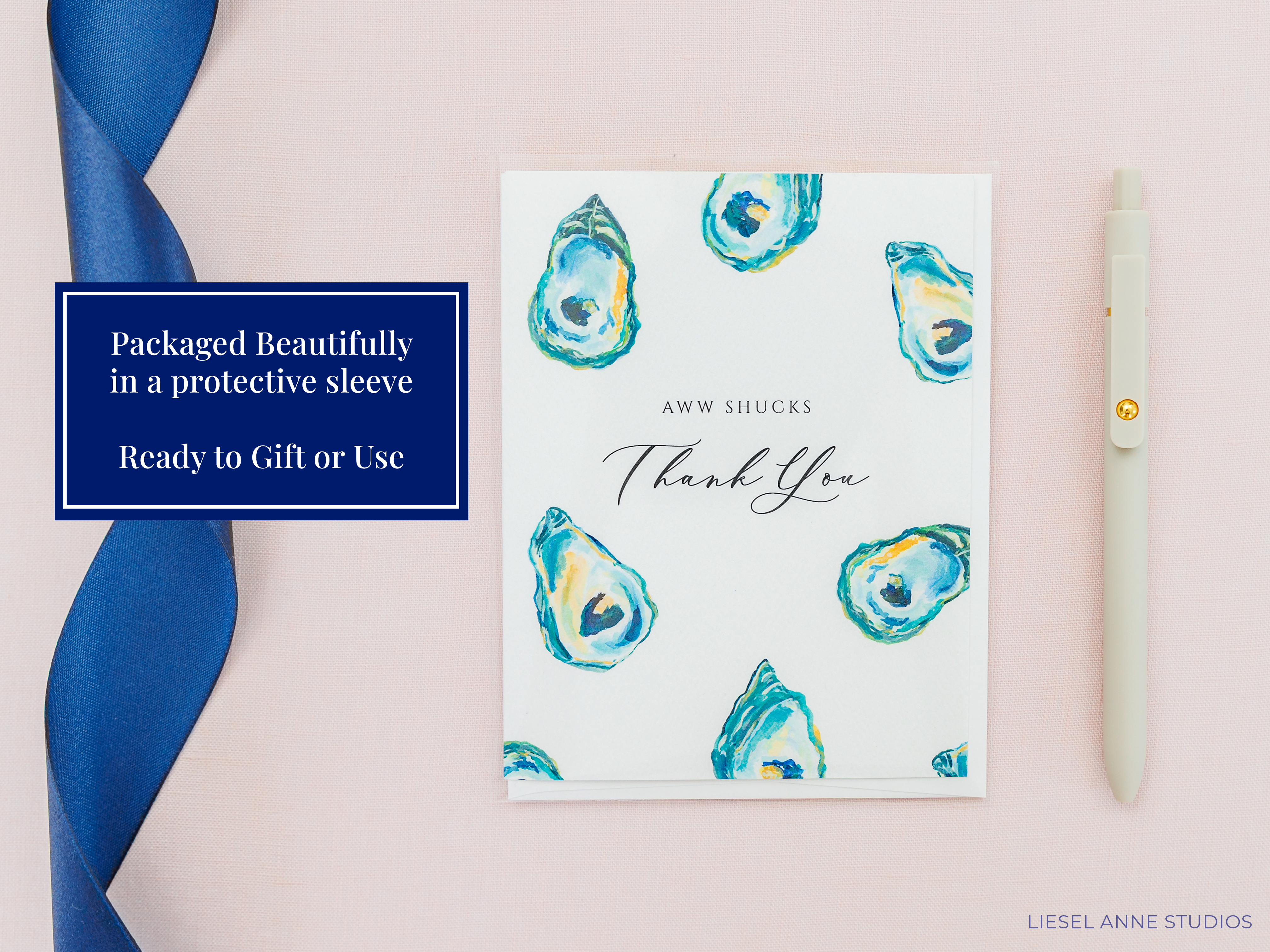 Liesel Anne Studios - Wholesale Thank You Card - Vintage Airplane Thank You Cards [individually packaged]2