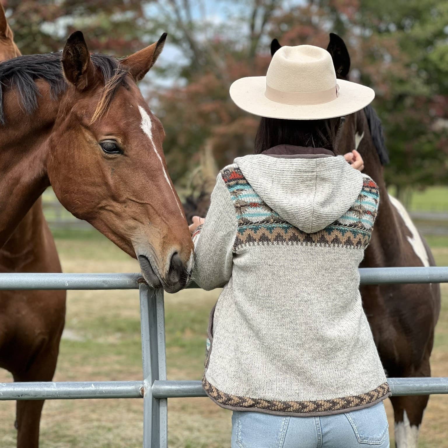 Lost Horizons Knitwear – Ships from USA - Wholesale Knit Sweater - Women's - Dakotah Hooded Wool Sweater with Western Pattern2