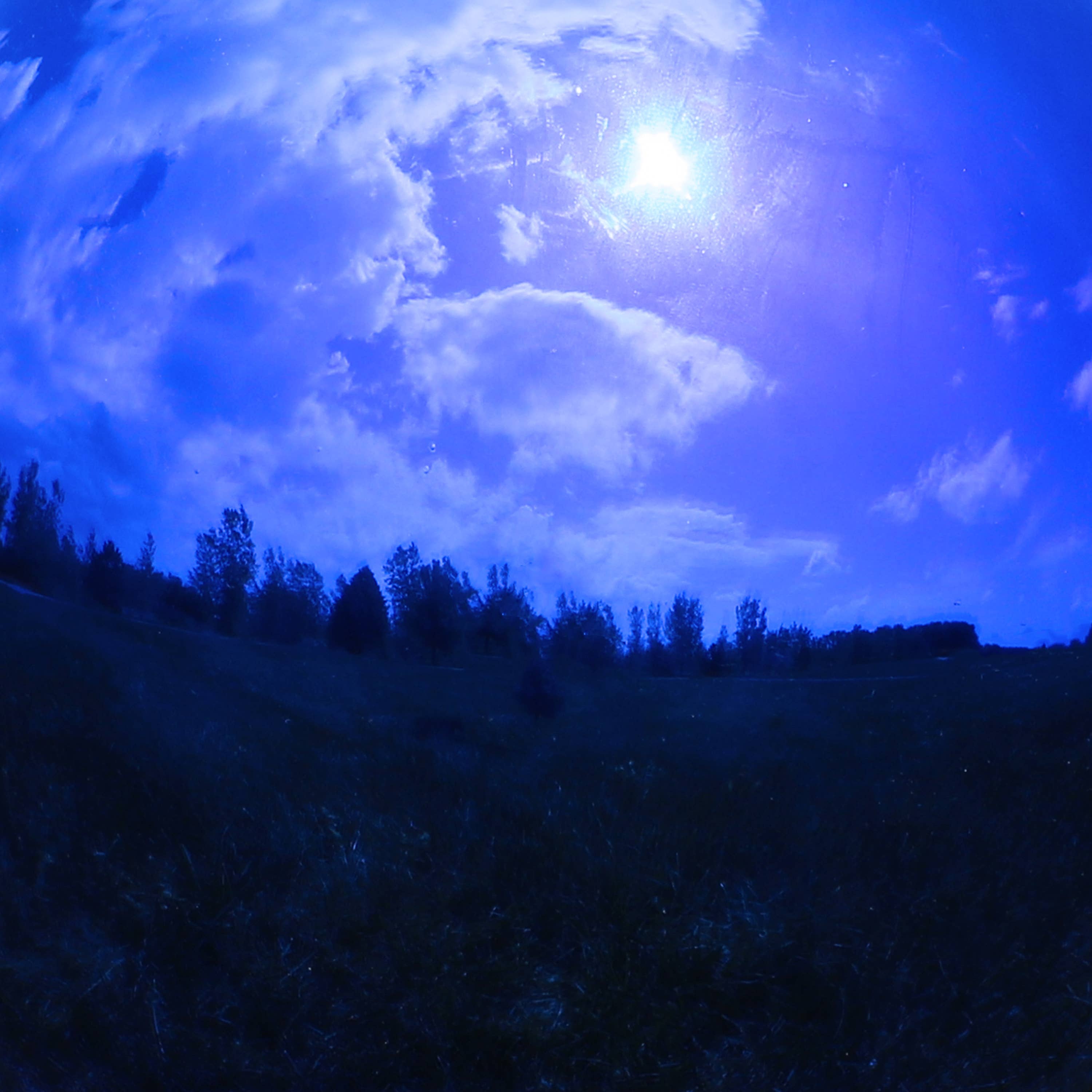 Sunnydaze Decor - Wholesale Outdoor Ornament/Decor - Blue Mirrored Surface Gazing Globe - 10 in6