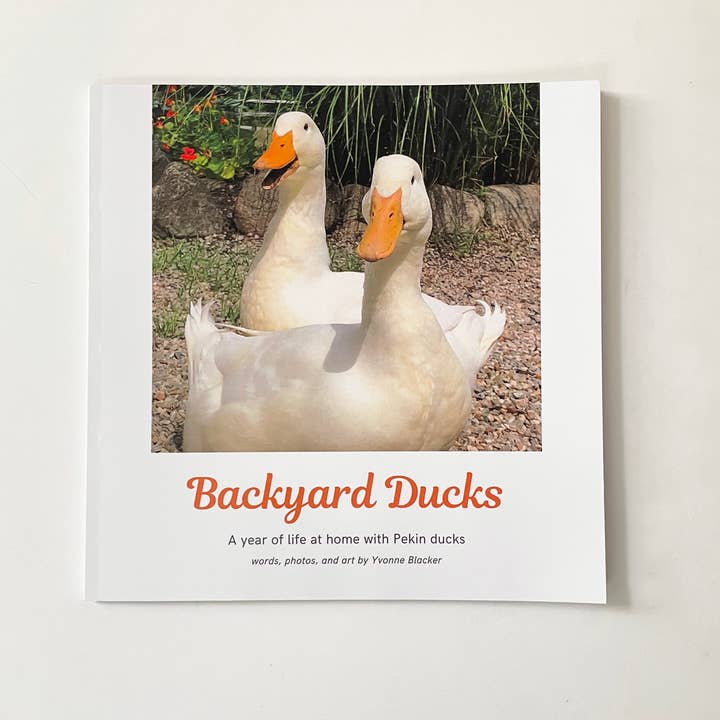 « Backyard Ducks » d'Yvonne Blacker (édition brochée) pour la vente par Duck Petals