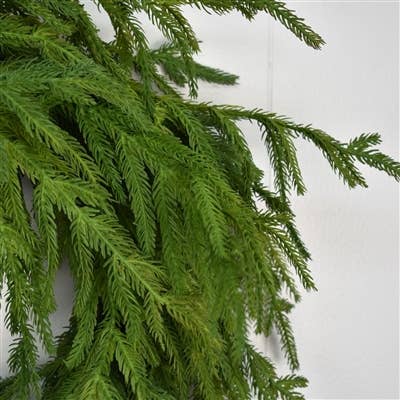 David Christopher's Collection - Wholesale Wreath - 24” Natural Touch Norfolk Pine Wreath-real touch1