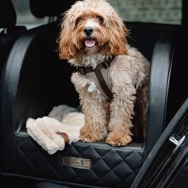 Autositz Comfort - Classic für den Großhandel von Dogstyler