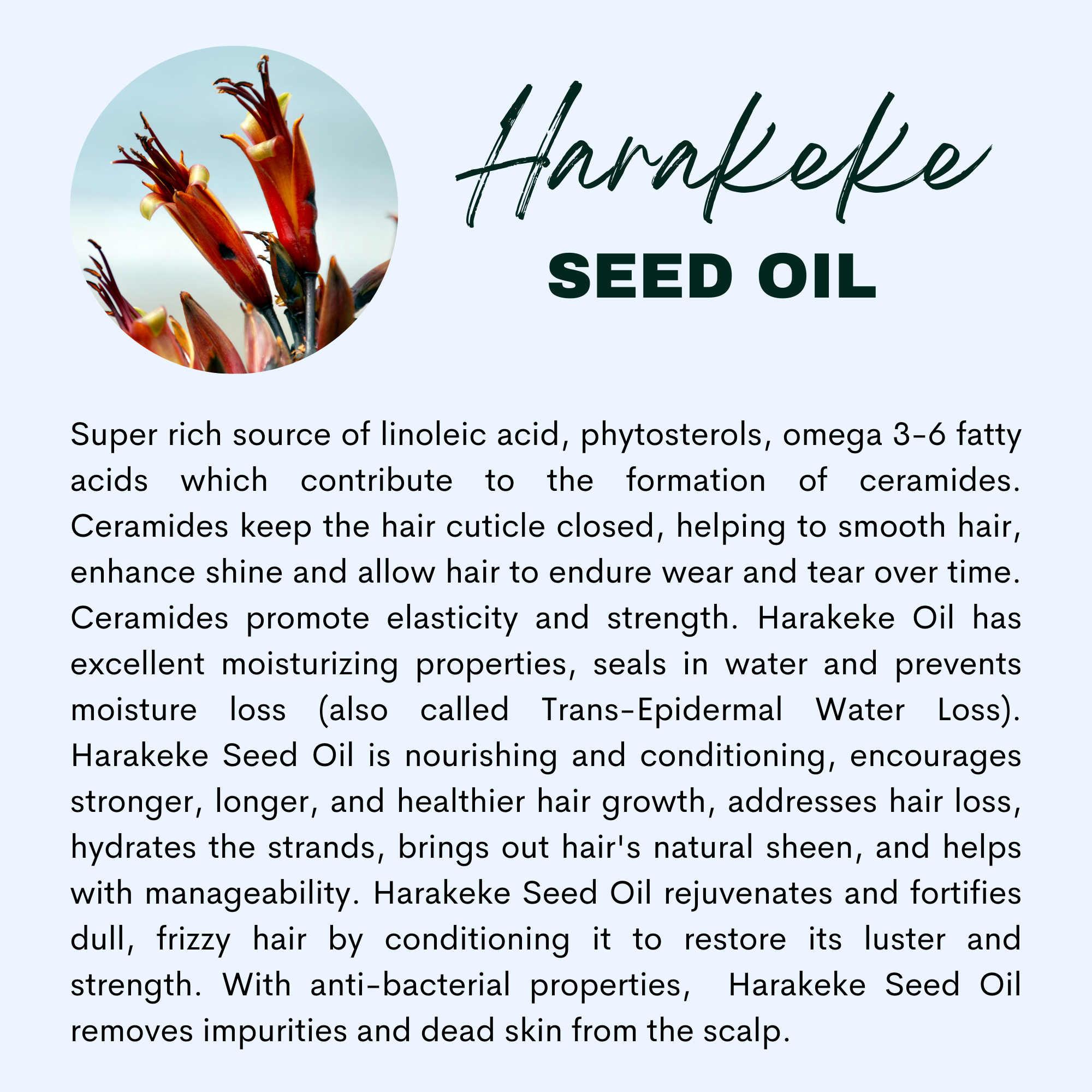 The Sacred Essence – wholesale Hårolja – HÖGRE VISDOM - 16 Kraftfull hårväxt och stärkande oljor14