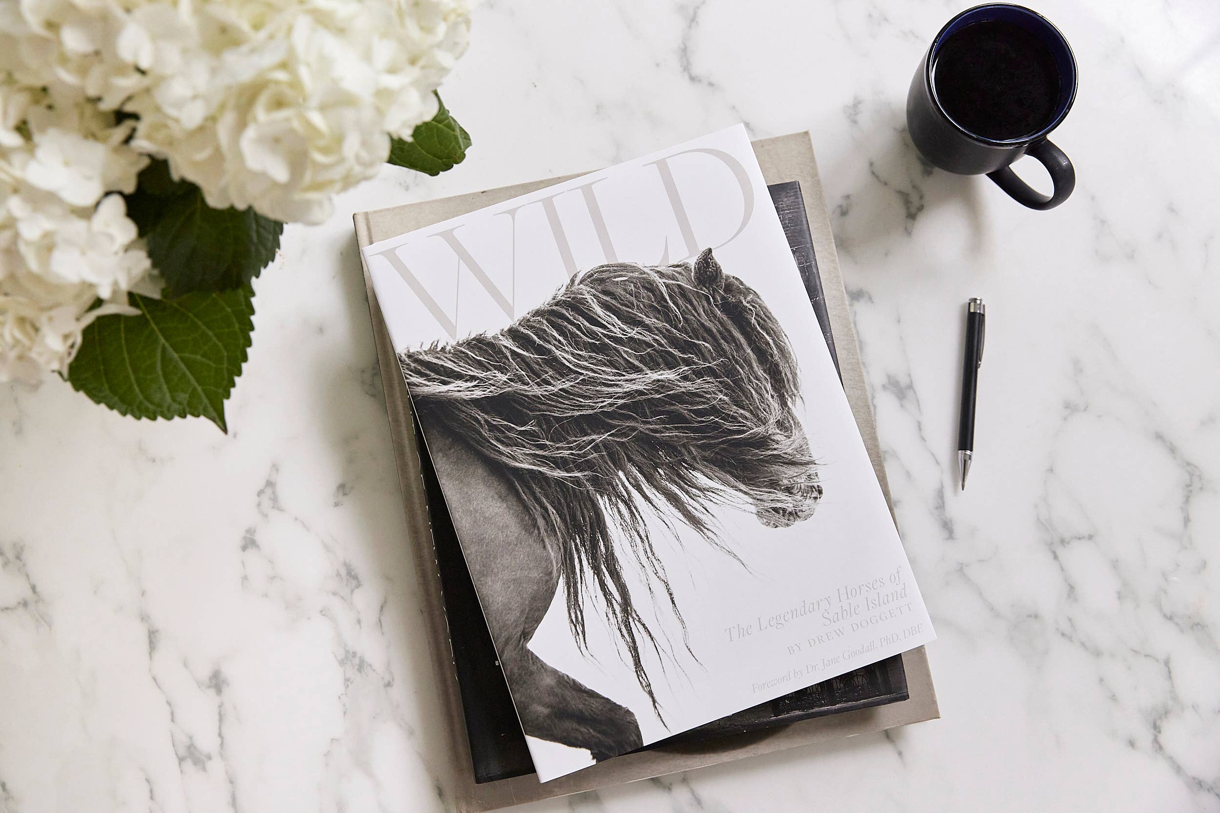 Drew Doggett Photography - Vendita all'ingrosso Display Book - Wild: I leggendari cavalli di Sable Island6