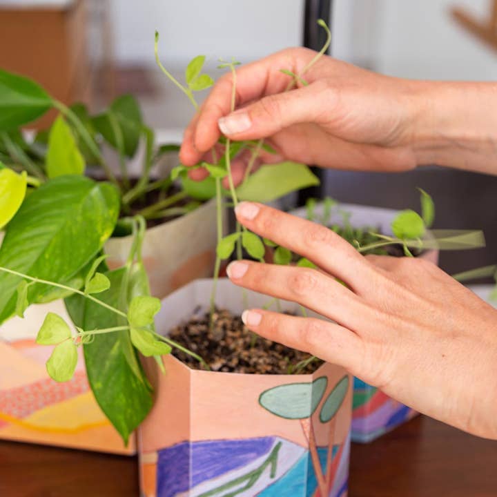 Sow 'n Sow - Wholesale Plant pot - Pop Up Pot 'Yonder' Small4