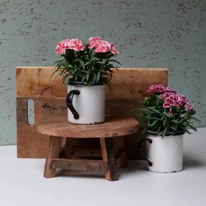 Nature and Style Wohnkultur Import GmbH - Wholesale Decorative Jar - Enamel mug4