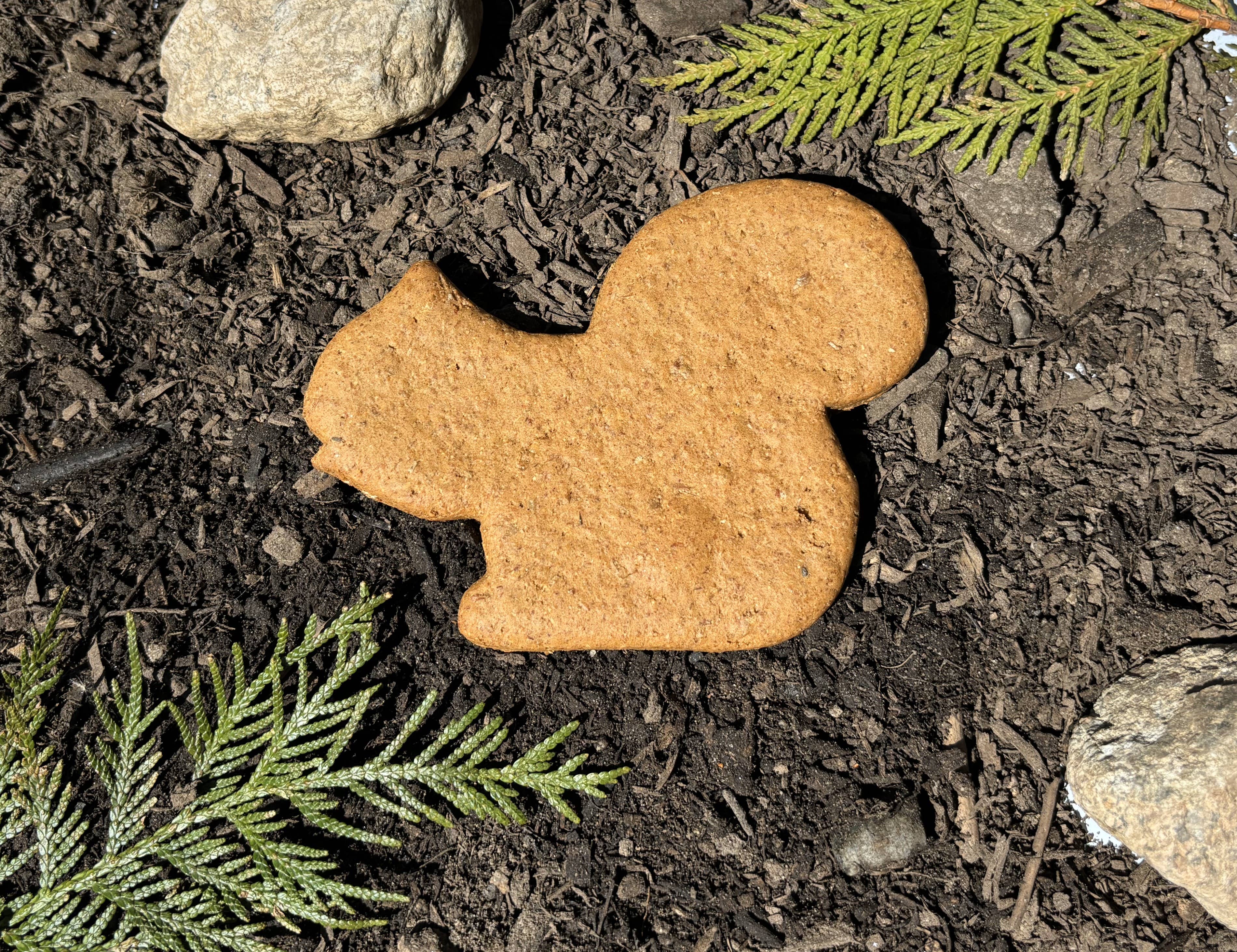 North Woods Animal Treats and Gifts - Wholesale Pet Treats - Dog - Display Crate REFILL, 36 Cookies - Pumpkin Squash Squirrel4