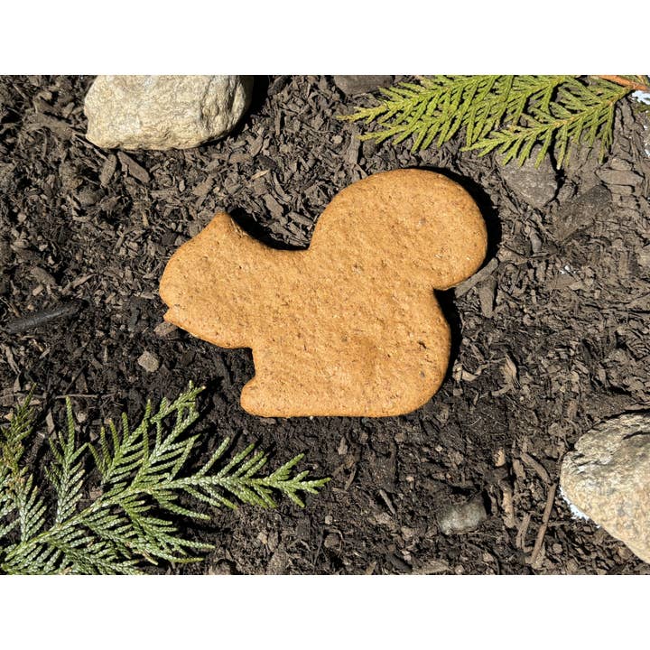 North Woods Animal Treats and Gifts - Wholesale Pet Treats - Dog - Display Crate REFILL, 36 Cookies - Pumpkin Squash Squirrel4