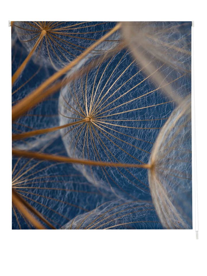 Estor Enrollable Transucido Estampado Flores para venta al por mayor de ZEBRA TEXTIL, SL