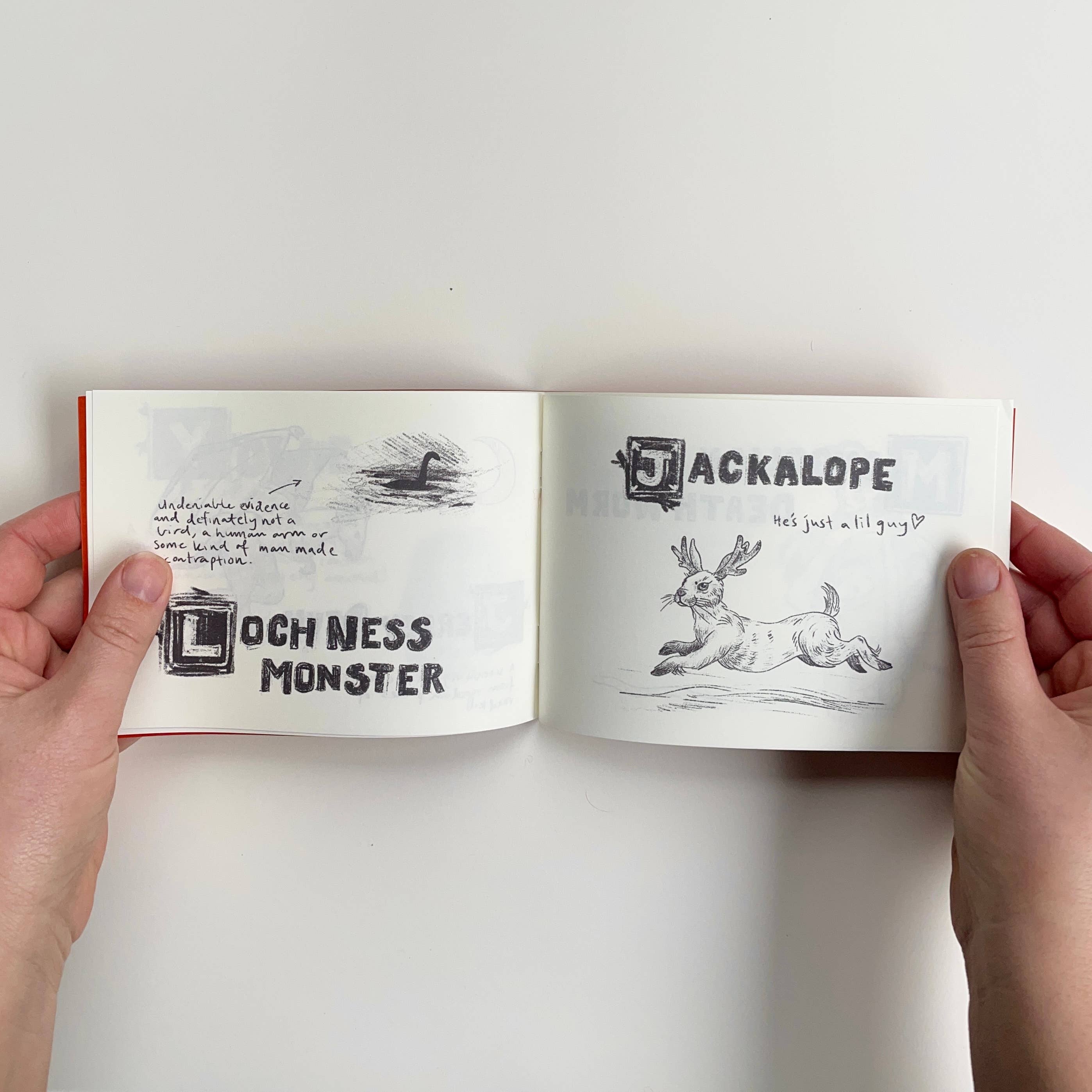 Ashlea Bechaz Illustration - Wholesale Magazine - Zine - Cryptids of Note6