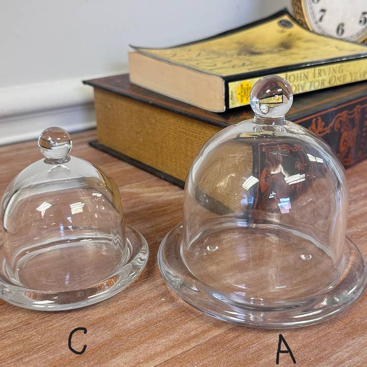 Vagabond Vintage - Wholesale Decorative Tabletop Object - Glass Dome Display Cloche with Base8
