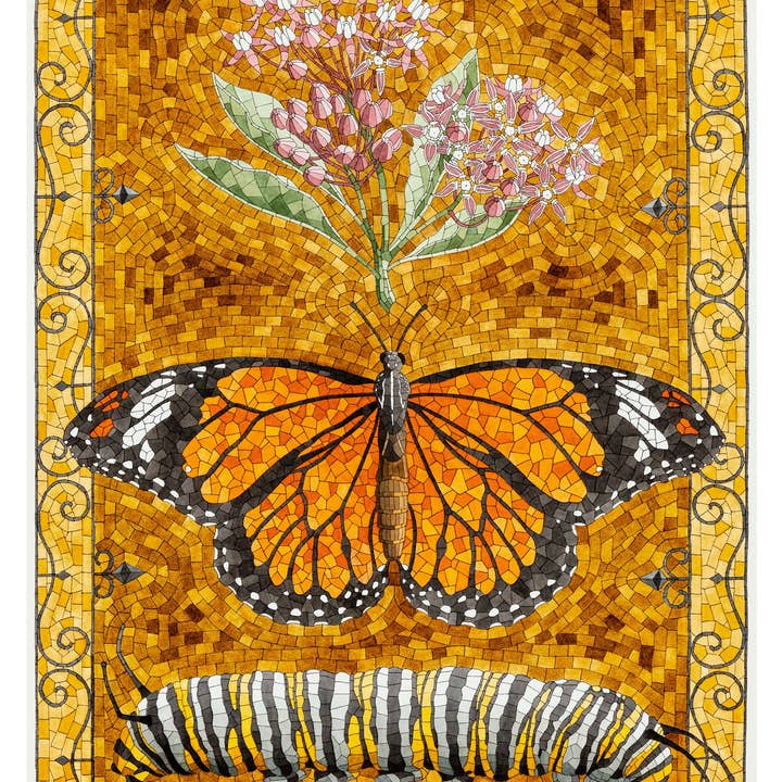 Pomegranate - Wholesale Stationery/Notecard Set - David Cohen: Butterflies Boxed Notecard Assortment3