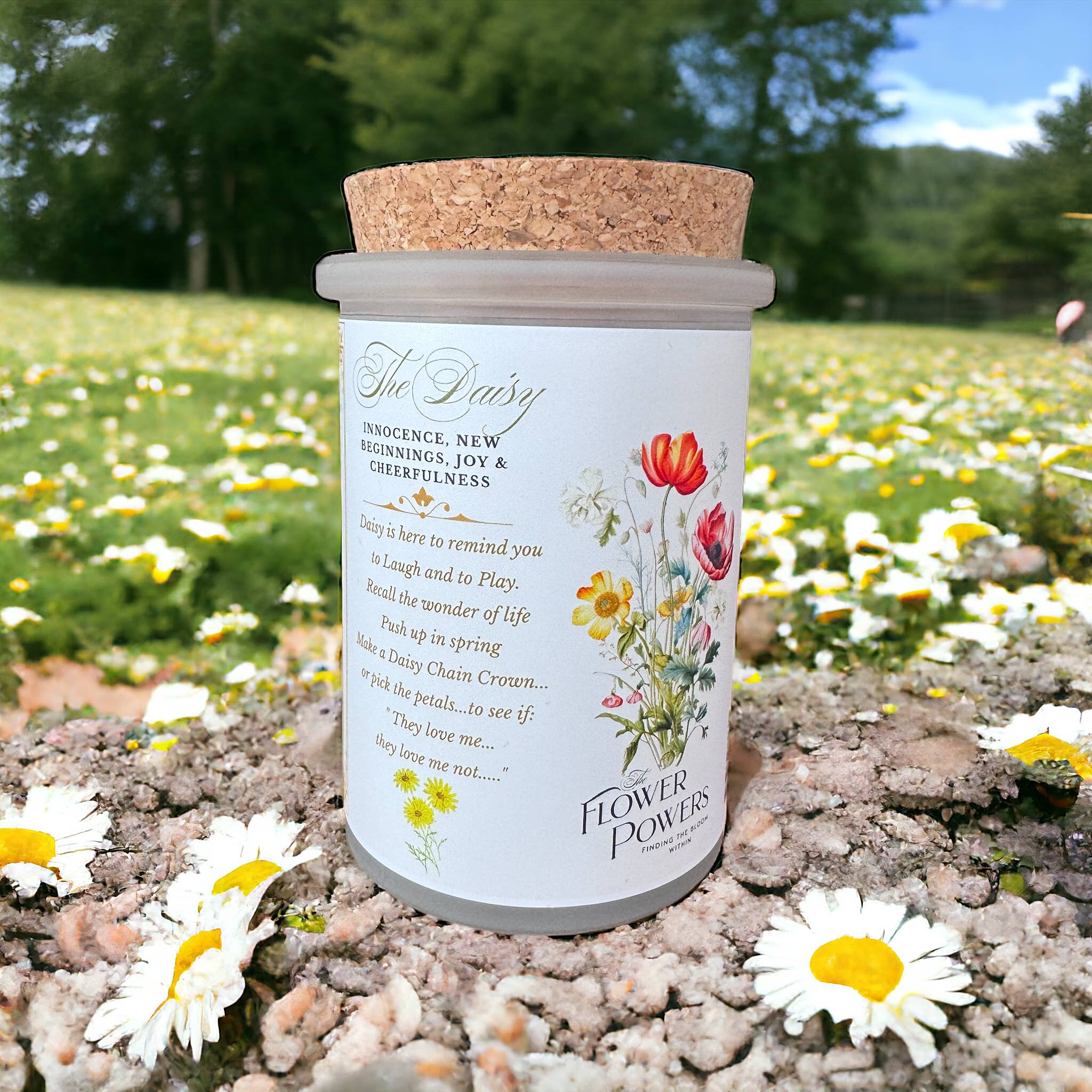 Montana Farmacy – wholesale Jar/filled candle – Flower Power © Candle Vintage Botanical Daisy Victorian8