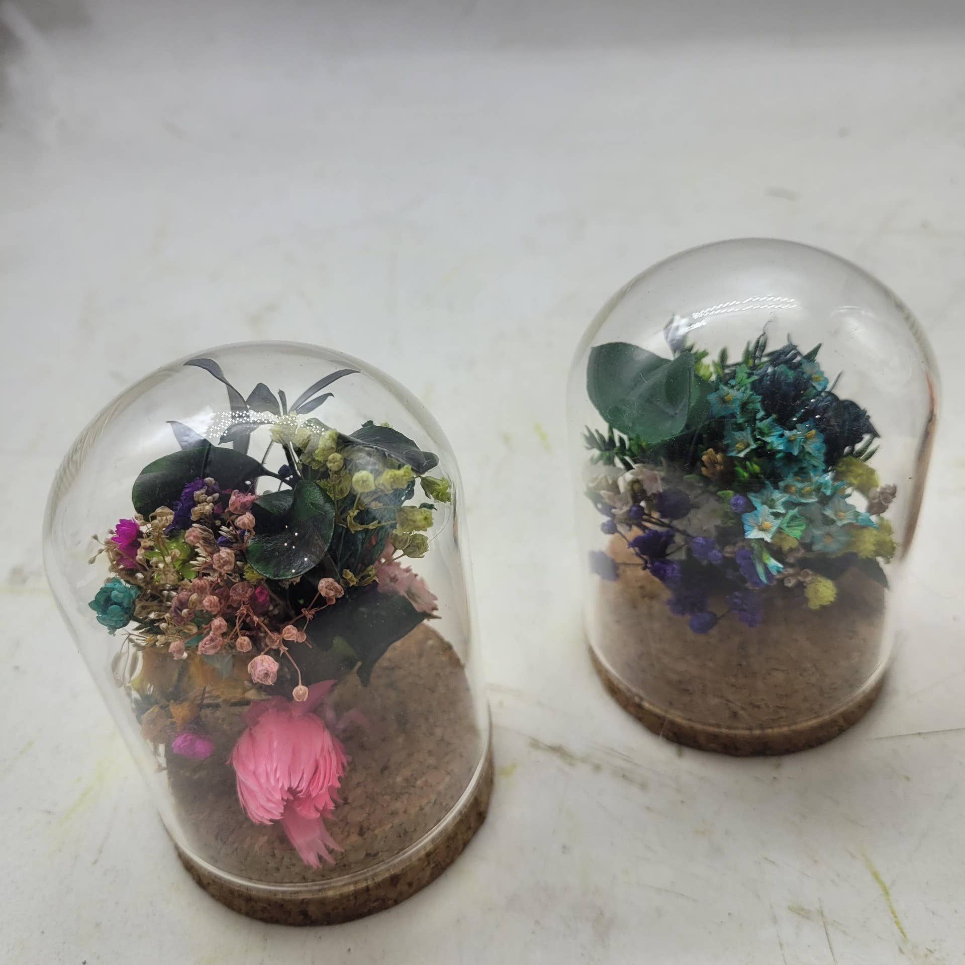 au detour du monde – wholesale Terrarium – Mini Terrarium Stabiliserad S1