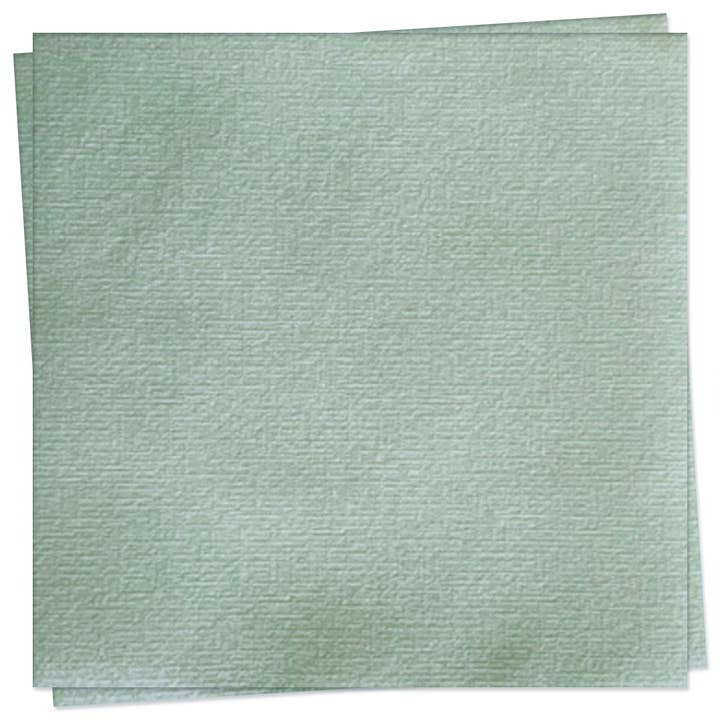 Guardanapo de Jantar Solid Sage Green por atacado de Trendy Table