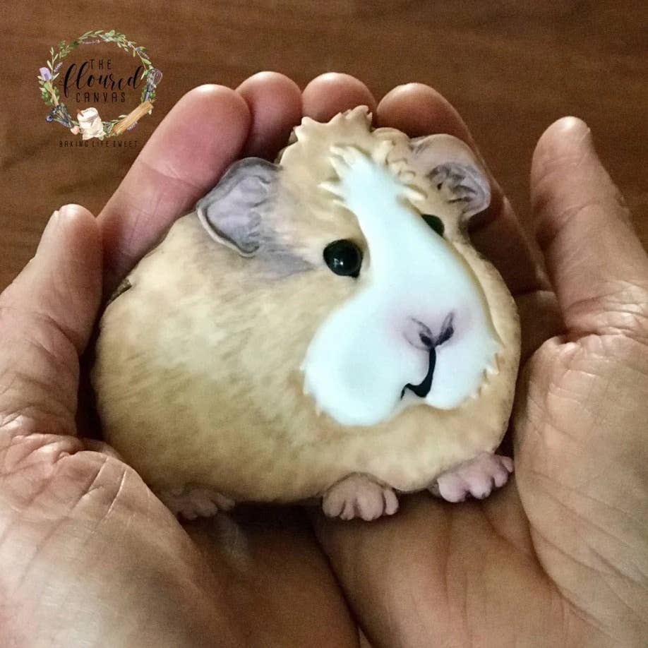 Summitbaking - Vente Emporte-pièce - Palm Pets Ensemble emporte-pièce lapin, cochon d'Inde et hamster8