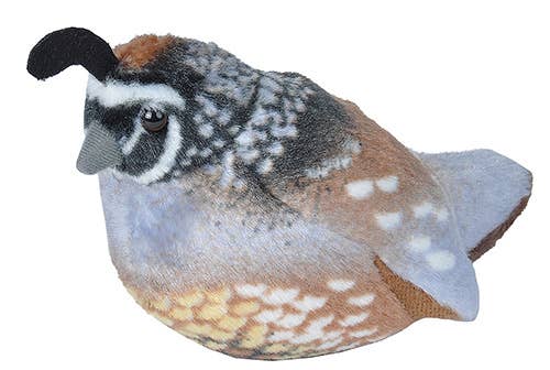 Wild Republic - Wholesale Stuffed/Plush Toy - Kids & Baby - Audubon II California Quail Stuffed Animal W Sound 5.5"0