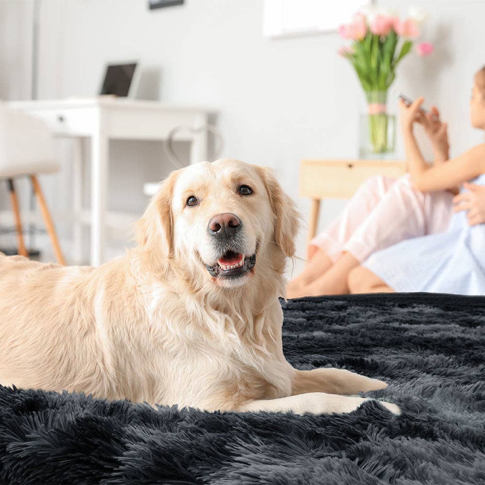 PetAmi – wholesale Filt - Katt och hund – Vattentät fuskpäls Pet Filt12