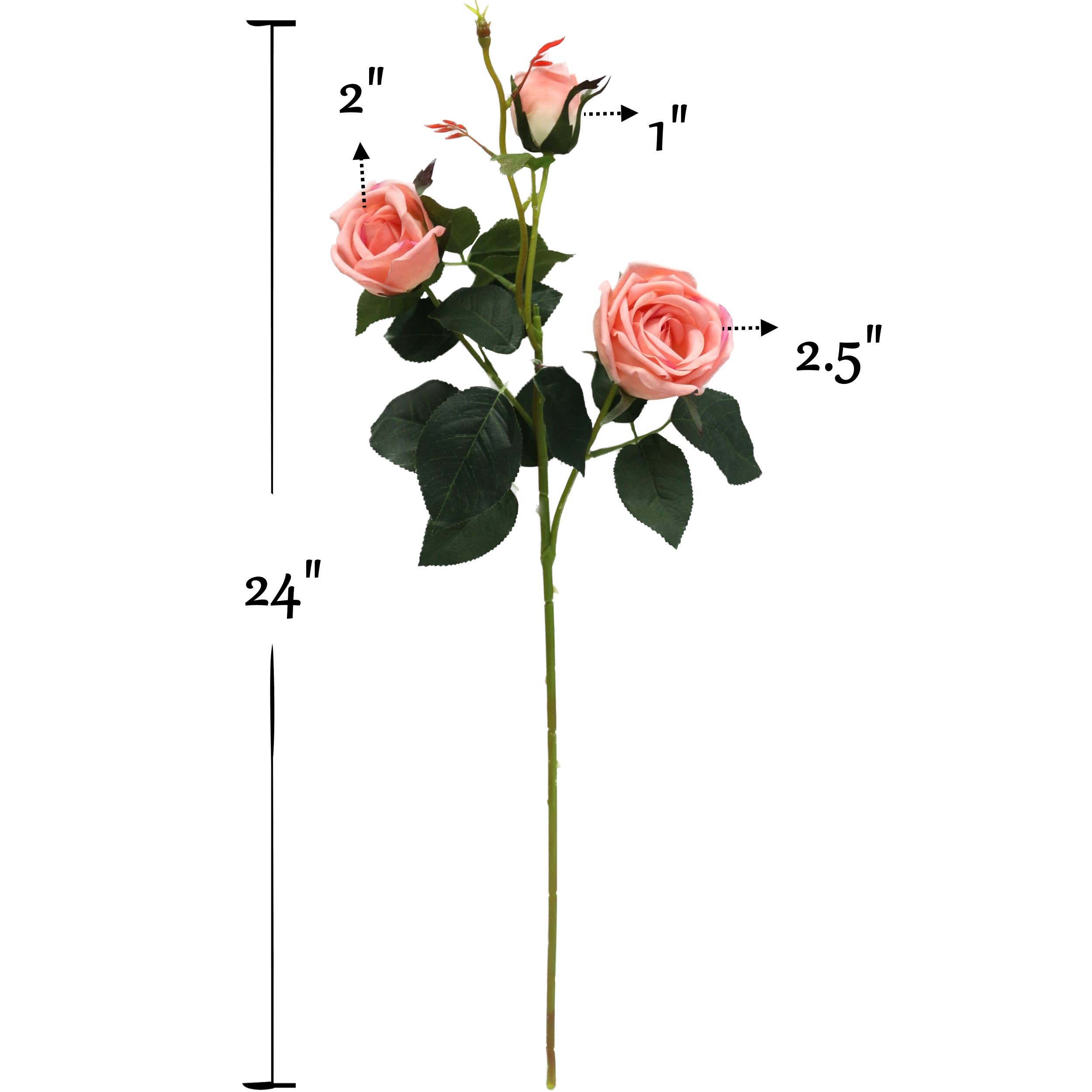 Angel Isabella - Wholesale Artificial Flowers - 24" Real Touch Rose-3 flowers6