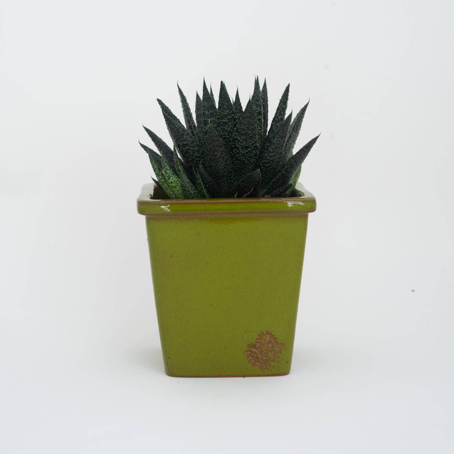 Vasos Quadrados by EM – Engroshandel Plantekrukke – Medium firkantet vase 14x14 cm - blank39