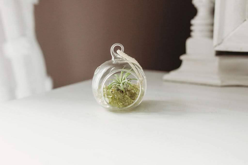 The Simply Crafty Shop - Wholesale Terrarium - Mini Orb Air Plant Terrarium Kit - Semi-Precious Stone49
