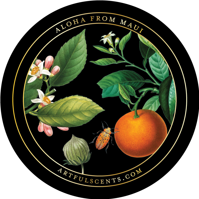 Artful Scents – wholesale Jar/filled candle – Sunrise Candle - Neroli + Grapefruit4