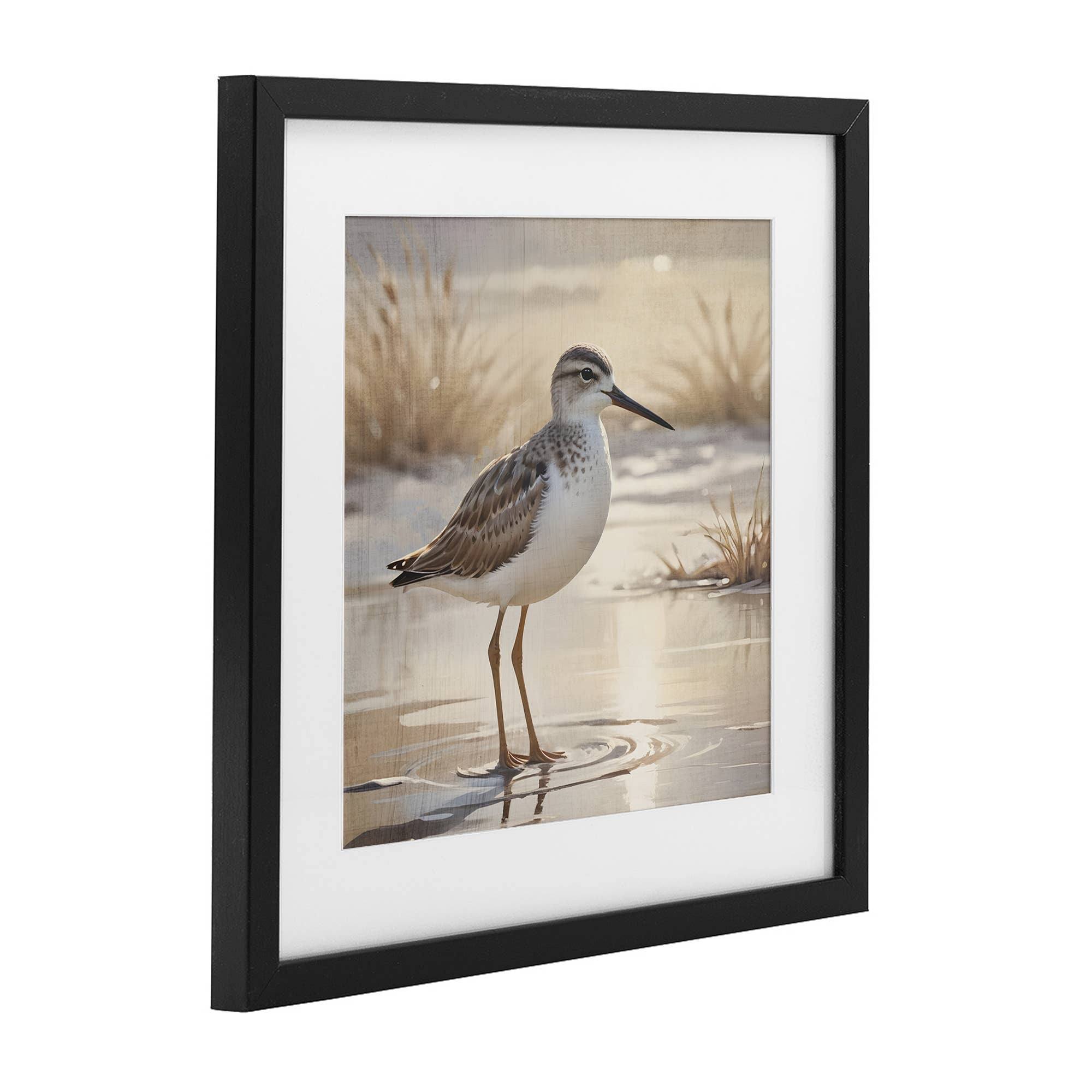 Stupell Industries - Wholesale Wall Sign - Sunlit Sandpiper in Shallow - Print Under Glass Wall Art7