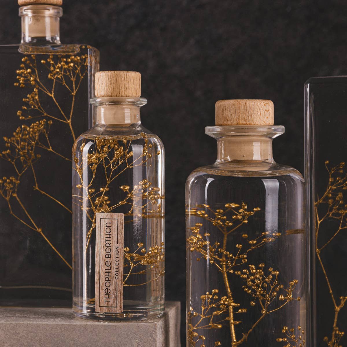 Theophile Berthon - Vente Plante - L'Herbarium Gypsophile Or - plante immergée22