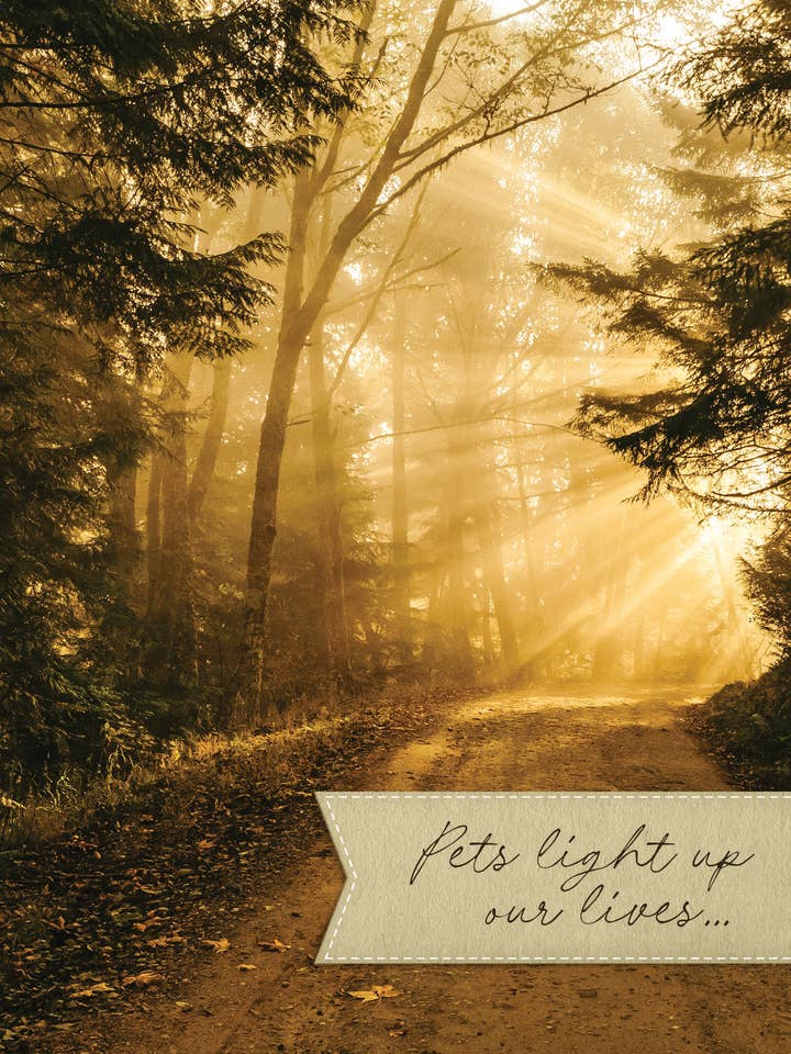 PSY/Sunlit Path for wholesale by Greeting Cards by Norcard