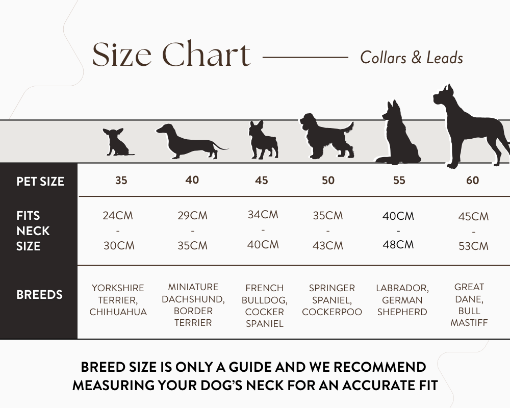 Ralph & Co – wholesale Pet collar – Dog – Brown Leather Dog Collar2