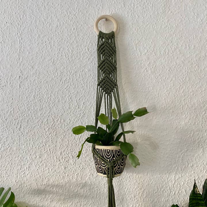 Luna Crafts – Engroshandel Hængende plantekasse – Macrame plante væg bøjle - muslingeskal grøn1