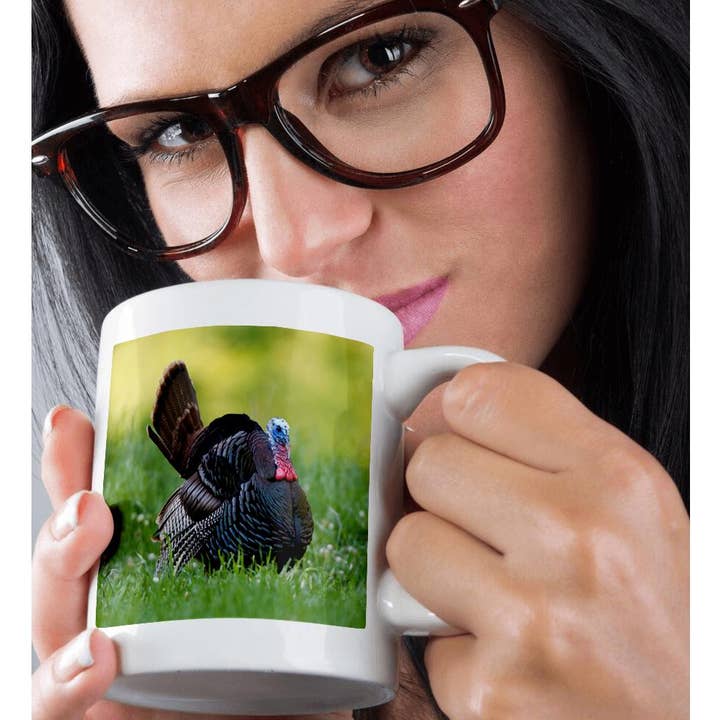 3dRose - Wholesale Coffee Mug - 3dRose, Eastern Wild Turkey gobbler strutting in field, Holmes Co. MS, Mug9