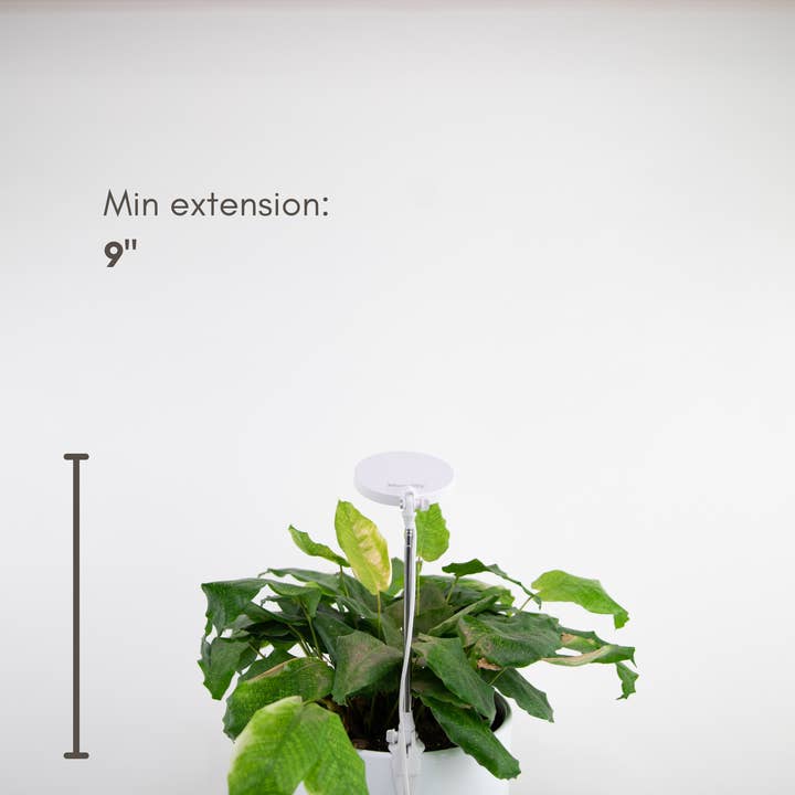 Mossify - Wholesale Garden Tool - Adjustable LED Plant Light