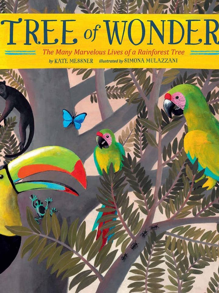 Tree of Wonder for wholesale by Chronicle Books