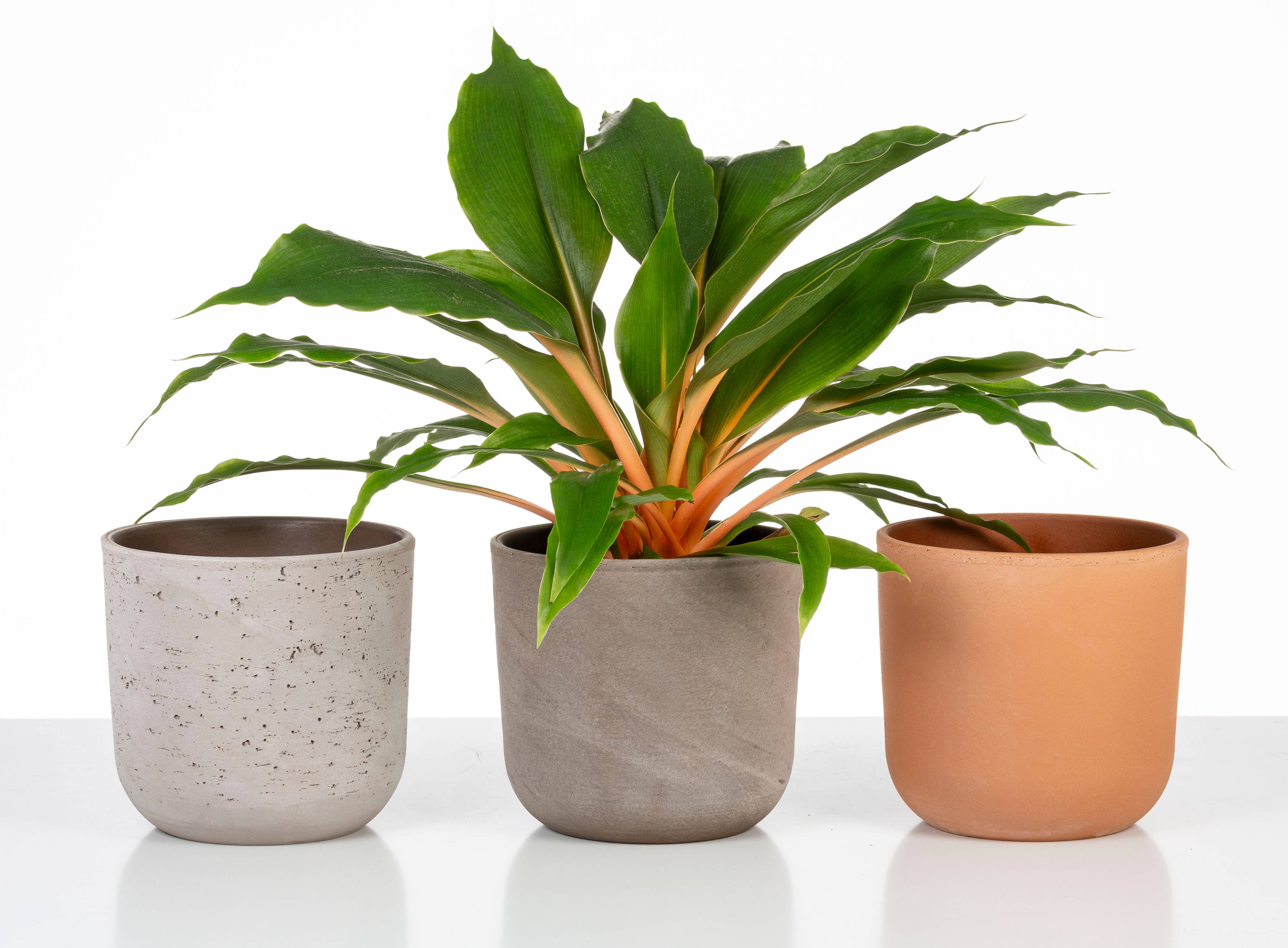 rosso La Natura 982 ceramic flower pot/planter for wholesale on Faire2