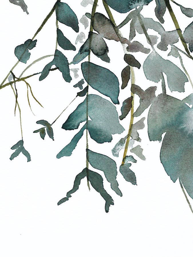 Studio del ramo n. 3 per la vendita all'ingrosso da parte di Elizabeth Becker