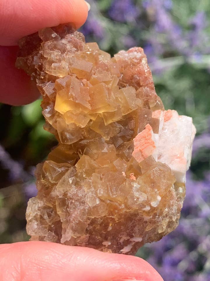 Cubic Yellow Fluorite cluster for wholesale by Wild Peonies Xo