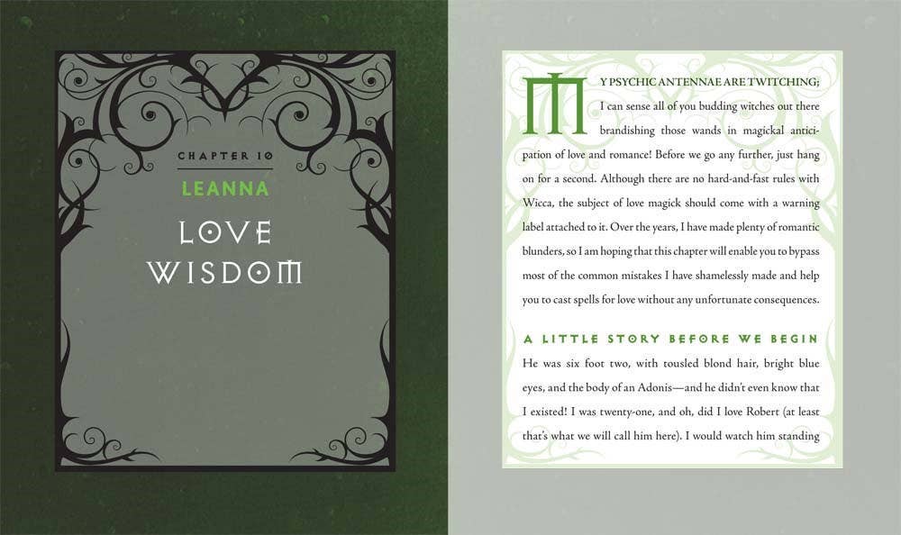 Hachette Book Group - Wholesale Reference Book - Wiccapedia by Shawn Robbins6