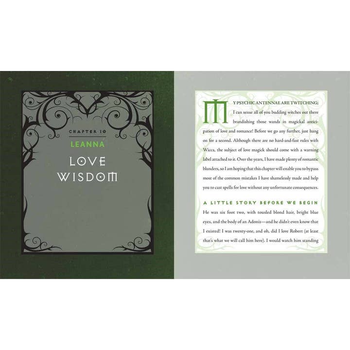 Hachette Book Group - Wholesale Reference Book - Wiccapedia by Shawn Robbins6